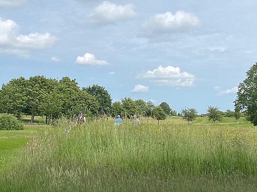 Golf-Club an der Schlei e.V.